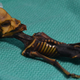 The “Atacama Humanoid,” or “Ata”